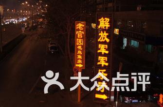 救援小犬立苏
